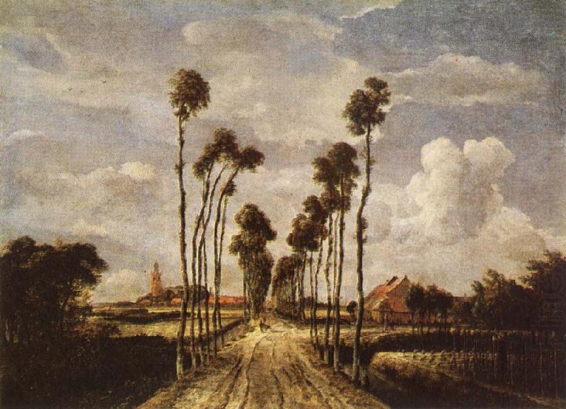 The avenue in Middelharnis, HOBBEMA, Meyndert